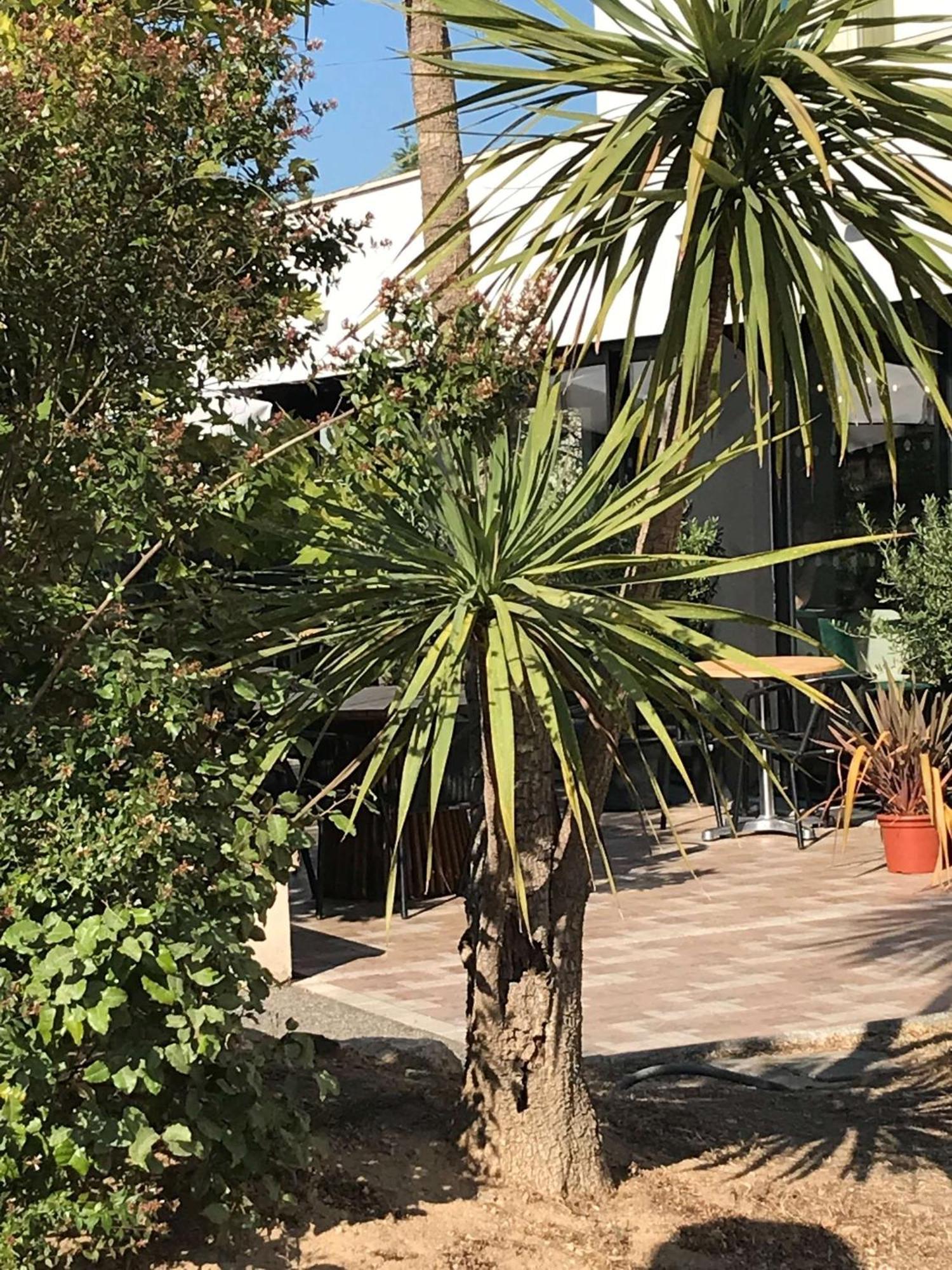 Brit Hotel Marseille Aeroport เลส์-เปนส์-มิราโบ ภายนอก รูปภาพ